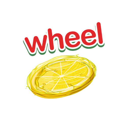 /_next/static/media/wheel-logo.4d475dd5.png